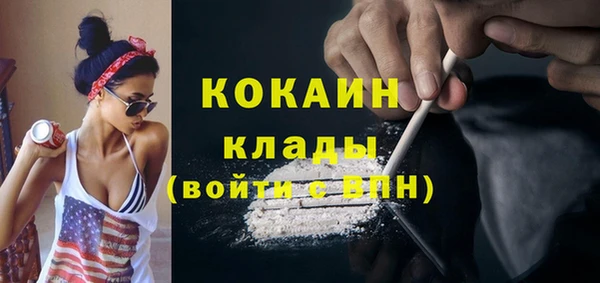 гашик Арсеньев