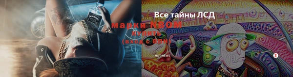 гашик Арсеньев