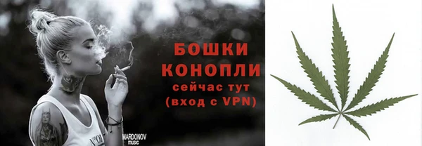 гашик Арсеньев