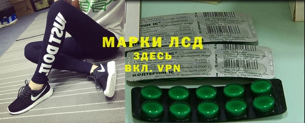 гашик Арсеньев