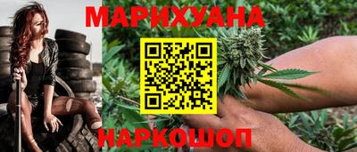 шишки Гагарин