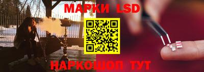 шишки Гагарин