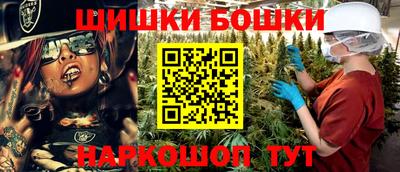 шишки Гагарин