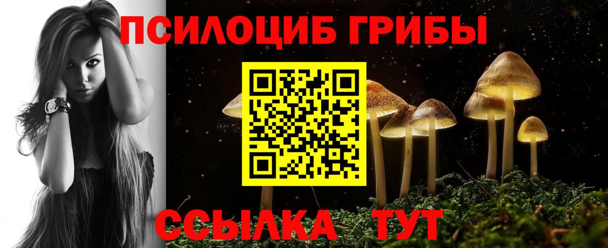 Рыбинск  Псилоцибиновые грибы прущие грибы  купить наркотики сайты  Вход с VPN 